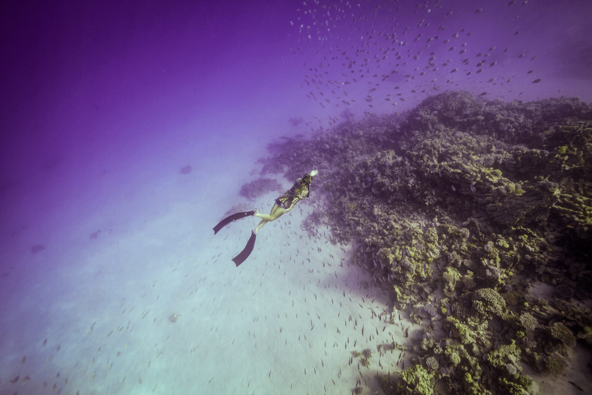 freediving dahab