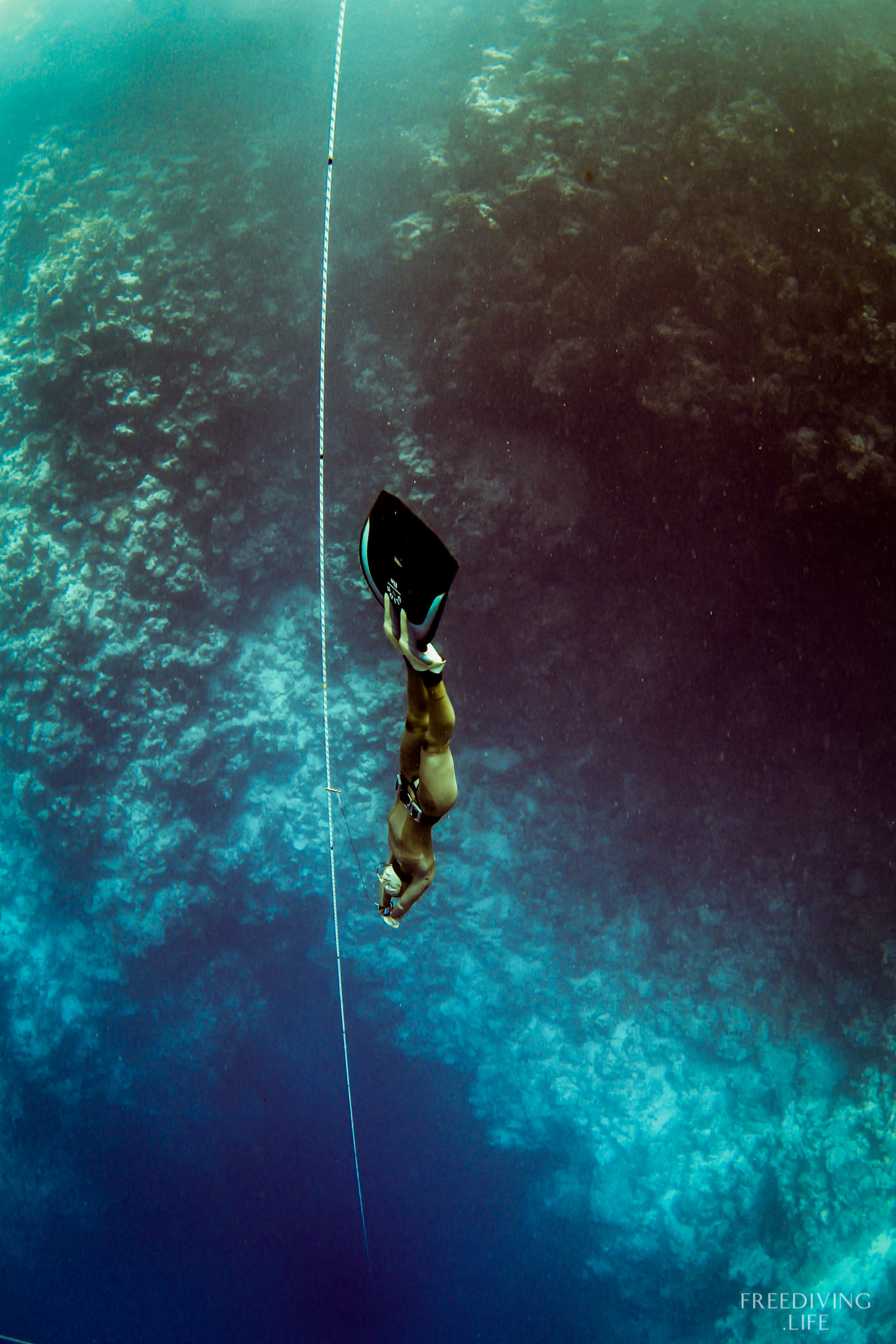 freediving dahab