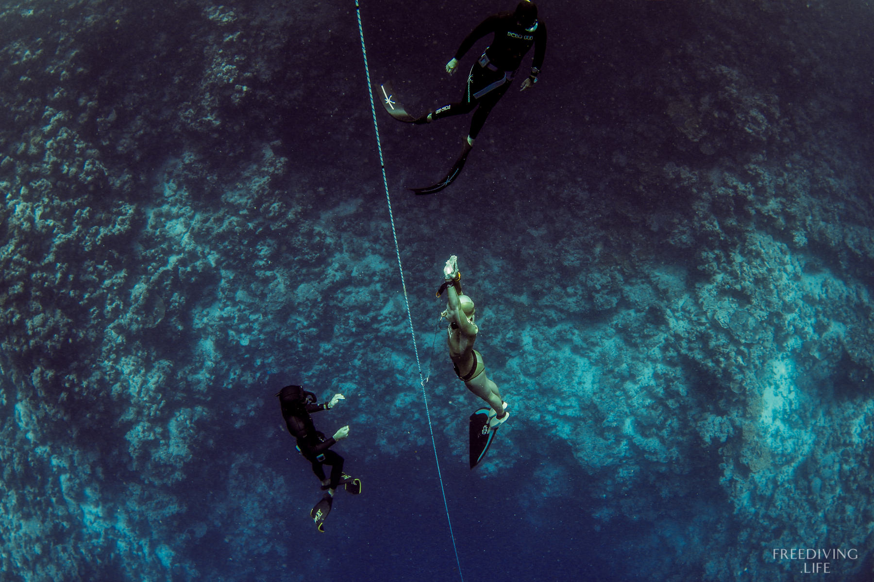 freediving dahab